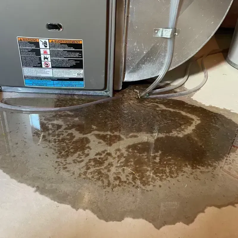 Appliance Leak Cleanup in Horse Cave, KY